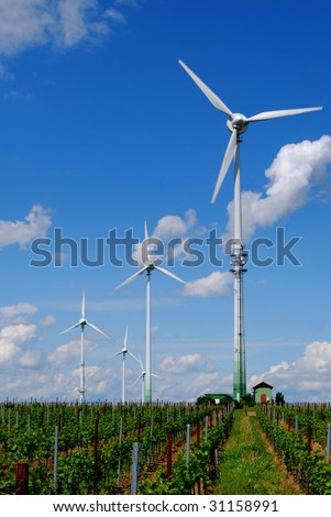 Wind energy towers in a vineyard