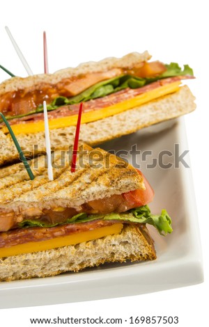 Salami panini grilled Italian sandwich with tooth picks in colors of Italian flag
