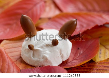 Animal faces on top of the fallen leaves