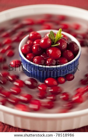A swirl of cranberries in water circles a dish of fresh cranberries.