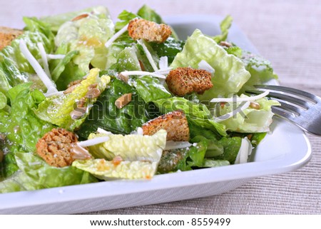 Caesar salad with cheese and croutons