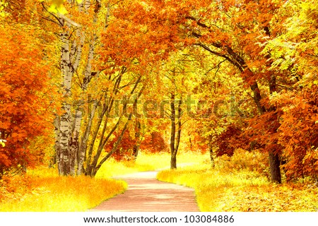Autumn Leaves Woods Landscape