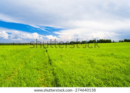 Grass Land Green Plain