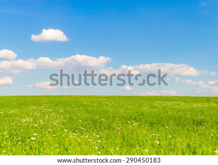 Landscape Wallpaper Grass