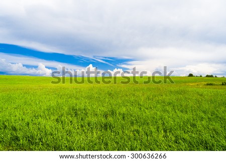 Green Plain Vibrant Nature