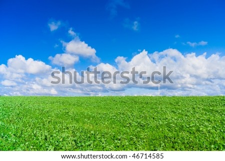 Green plains