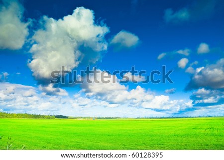 Wide Green Plain