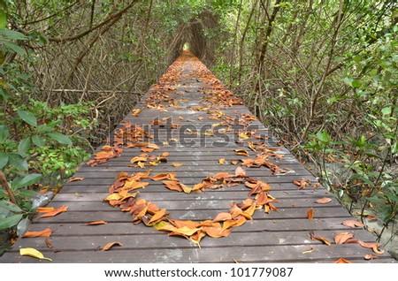Mangrove leaves a trail of orange heart.