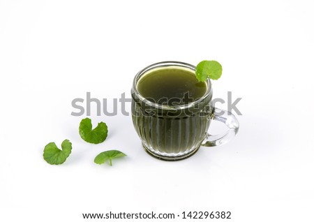 Centella asiatica, Asiatic Pennywort,(Centella asiatica (Linn.) Urban.) Stock fotó © 
