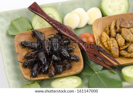 fried Ensiferum (Orthoptera), a nutritious diet, especially in the matter of energy, protein, fat and minerals.