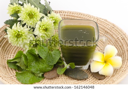 Centella asiatica, Asiatic Pennywort, (Centella asiatica (Linn.) Urban.) Herbal Drink. Has medicinal properties.  Stock fotó © 