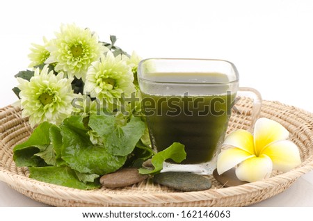 Centella asiatica, Asiatic Pennywort, (Centella asiatica (Linn.) Urban.) Herbal Drink. Has medicinal properties.  Stock fotó © 