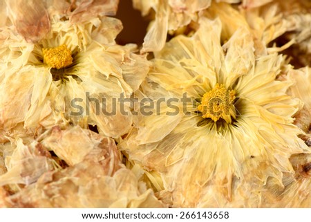 Yellow Chrysanthemum Flower Tea