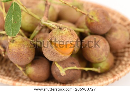 Ceylon oak (Schleichera oleosa (Lour.) Merr.) Fruit laxative properties, seed oil helps to cure hair loss, massage to relieve rheumatic pains and itching cure acne.