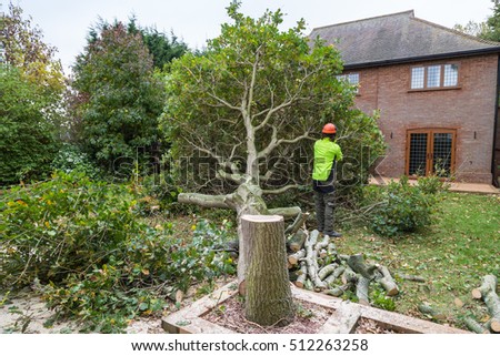 Similar – Image, Stock Photo Tree stump from felled tree in front of chimney with smoke from fossil fuel power plant