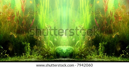 part of aquarium scene in natural lighting, not filtered