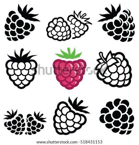 Raspberry fruit icon collection - vector outline and silhouette