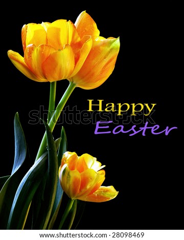 Happy Easter Tulips Card Or Easily Remove Text