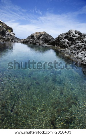 Tidal pool with seaweed and large rocks and blue sky in background in Maui, Hawaii.