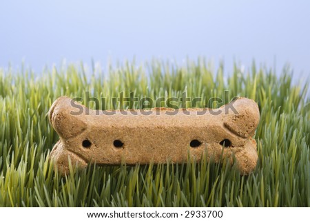 Studio shot of a dog treat laying in grass.