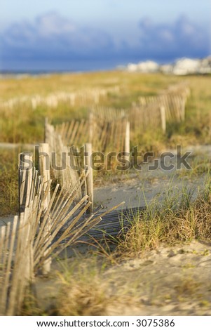 Natural sand dune beach area.