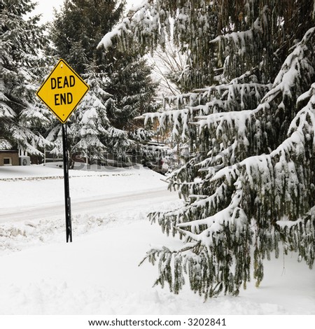 Snowy street scene in suburb with evergreen trees and dead end road sign.
