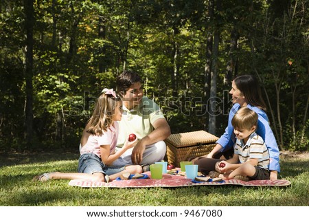 Hispanic family picnic in the park.