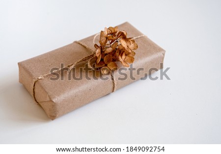 Similar – Image, Stock Photo Dry hydrangea flowers in neutral colors on a table in the living room at home. Apartment decor in minimalist style with soft warm sunny light.