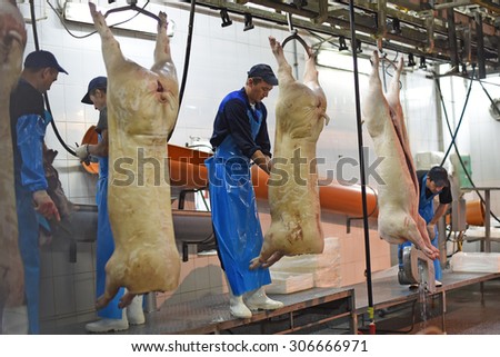 Russia, Saint-Petersburg, village of Telman - August 2015: a plant for the production of meat products. Workers cut up the carcass of pork production in Russia, the village of Telman.