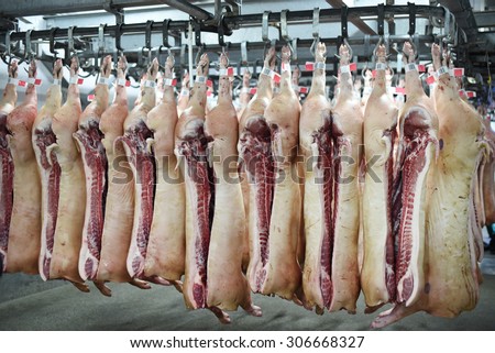 pork carcasses hanging on hooks in a meat factory