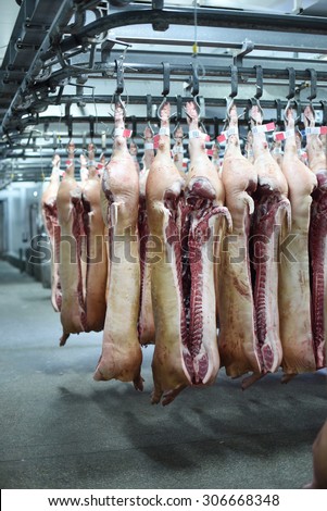 pork carcasses hanging on hooks in a meat factory