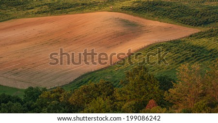 Beautiful hilly landscape, field - top view