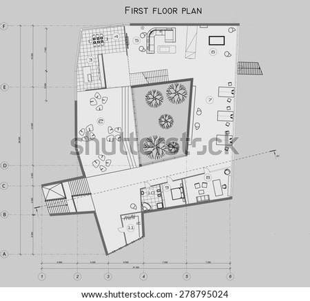 the drawing of the plan of the first level of the private house