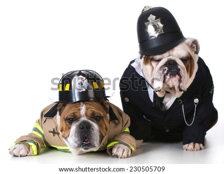 dog dressed up as firefighter and policeman on white background