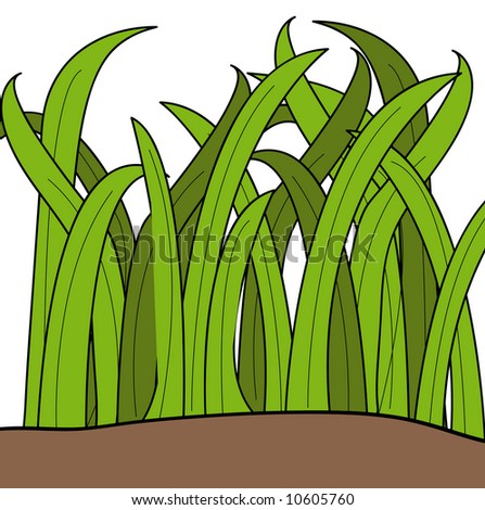 Cartoon Drawing Of Blades Of Green Grass - Vector - 10605760 : Shutterstock