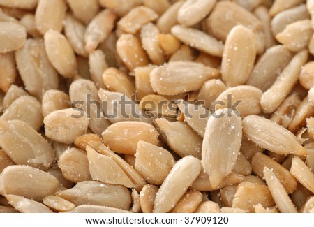 salted sunflower seeds - good for background
