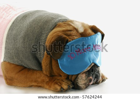 English bulldog sleeping with ten more minutes eye mask
