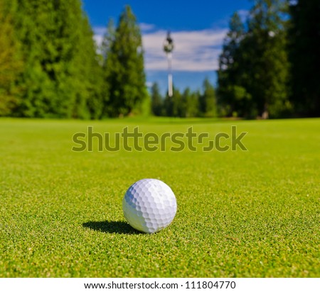 Close up of the golf ball on the ground of the course with the blurred flag behind.