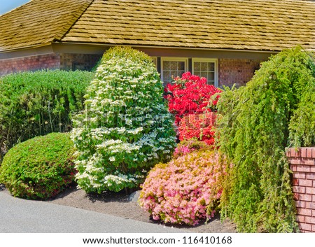 Some flowers and nicely trimmed bushes on the  front yard. Landscape design.