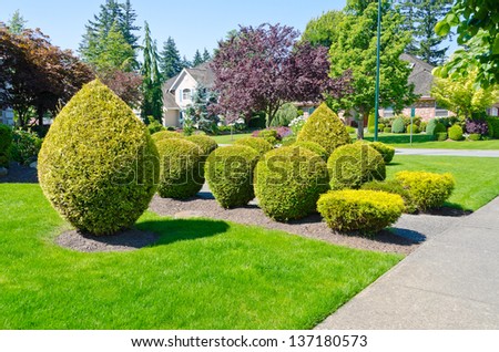Landscape design. Nicely trimmed bushes at the front yard