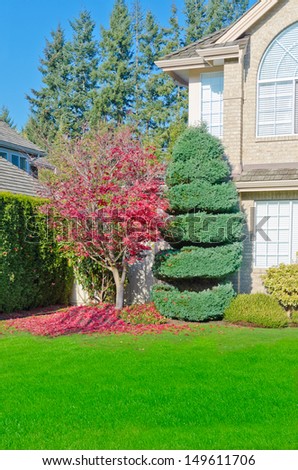 Nicely trimmed and landscaped front yard, entrance to the house. Landscape design.