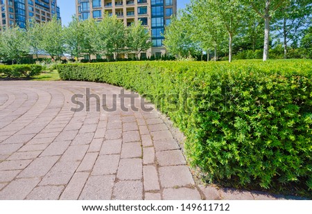 Landscape design. Nicely trimmed bushes and paved pedestrian sidewalk in the park. Vancouver. Canada.