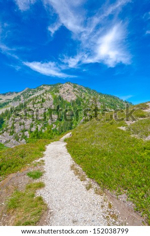 Gorgeous mountain view. Trail at the Mount Baker lands and wilderness.  North America. Vertical.
