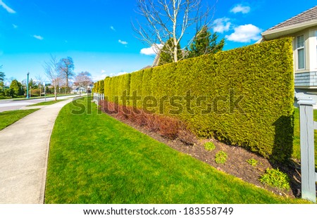 Green fence with green lawn on the empty street with pedestrian sidewalk. Keeps privacy and security. Landscape design.