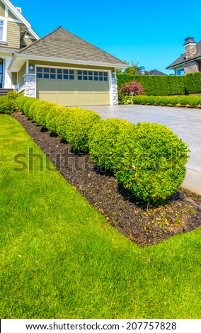 Nicely trimmed bushes in the row along the driveway to garage.  Landscape design. Vertical.