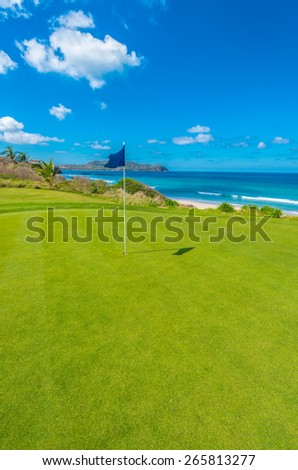 Gorgeous view at the golf course with blue flag at the ocean side. Gorgeous view at the golf course with blue flag at the ocean side. Vertical.