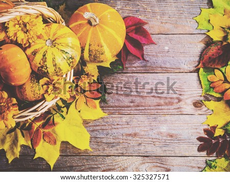 Autumn background with colorful leaves and pumpkins on rustic wooden board. Gifts of Autumn in a basket. Thanksgiving and Halloween holidays concept. Harvest rural fall season. Space for your text.