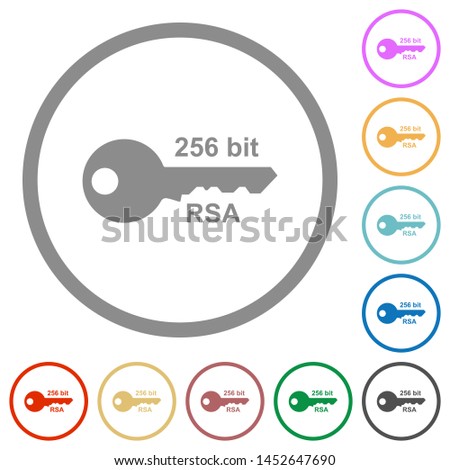 256 bit rsa encryption flat color icons in round outlines on white background