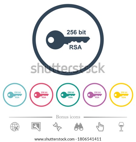 256 bit rsa encryption flat color icons in round outlines. 6 bonus icons included.