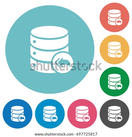 Database loopback flat white icons on round color backgrounds